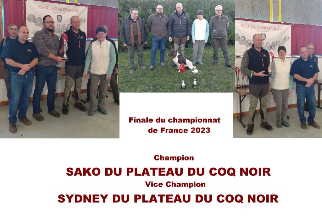 du plateau du coq noir - CHAMPION ET VICE CHAMPION DE GIBIER TIRER 2023